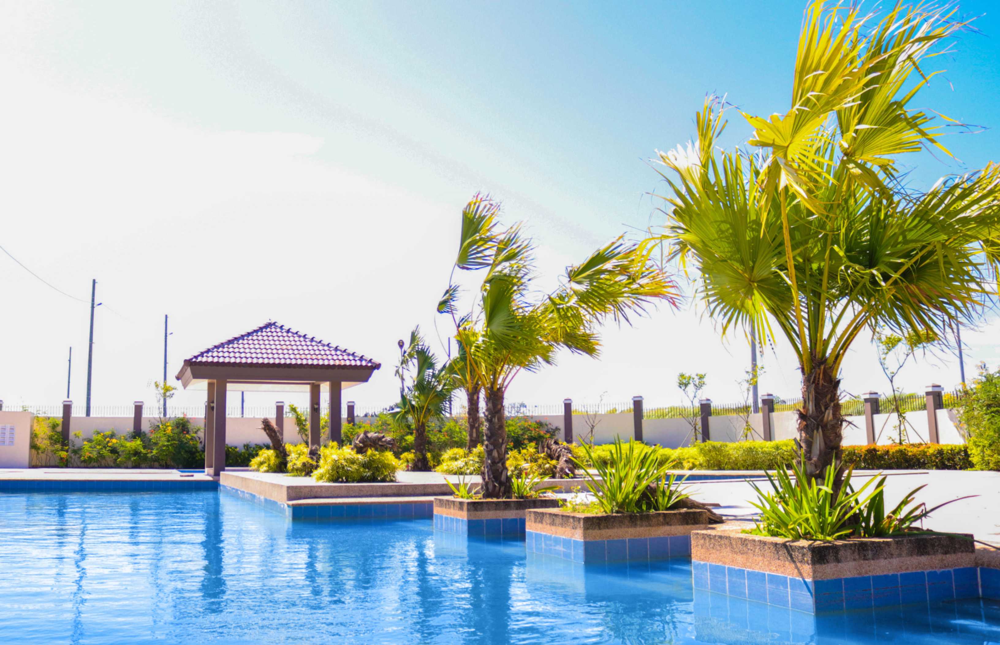 jpeg-optimizer_La Huerta (3).jpg