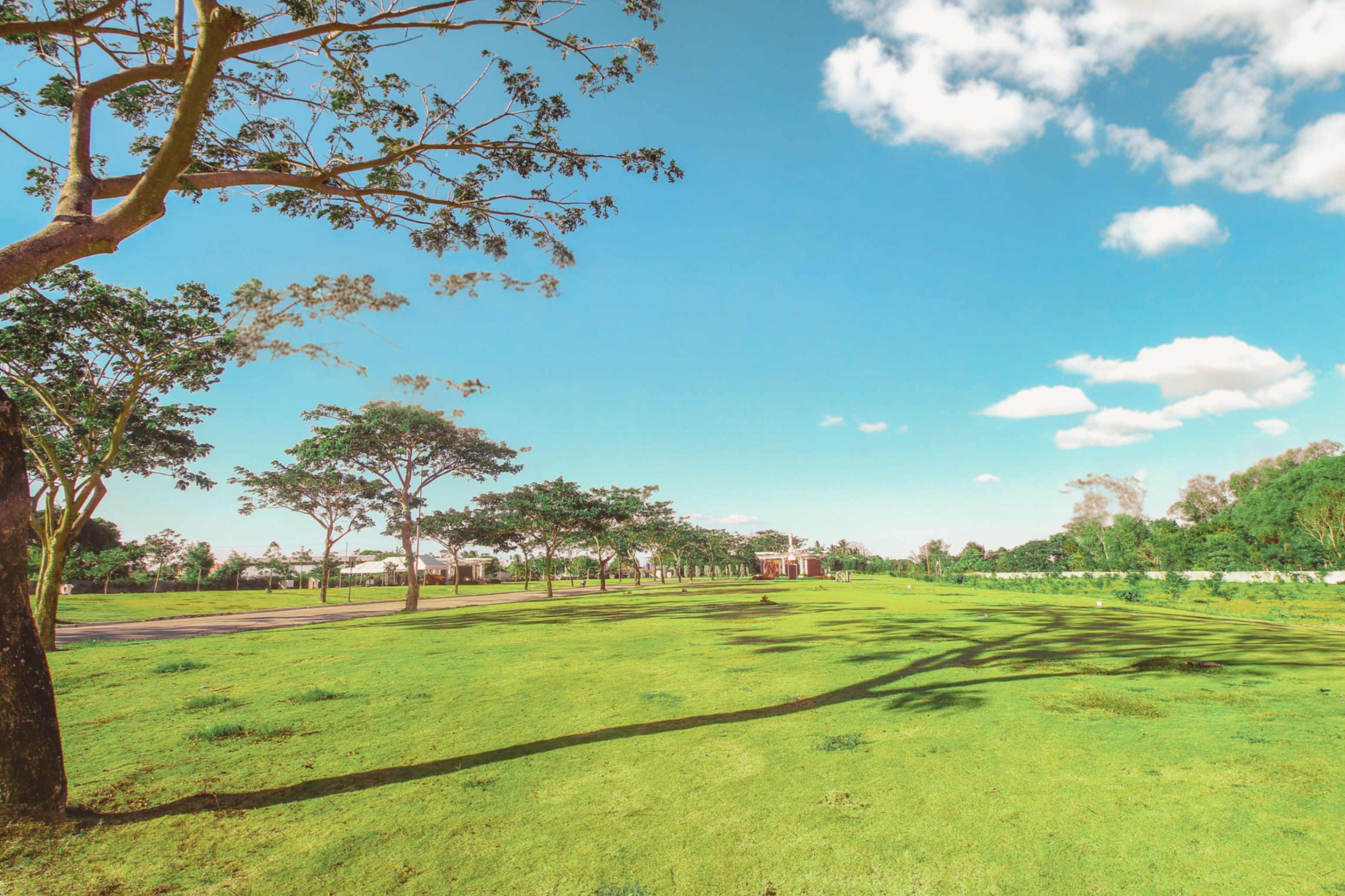 jpeg-optimizer_Lawn Ossuary_Golden Haven.jpg