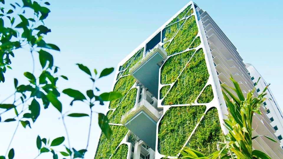 jpeg-optimizer_Tree House.jpg