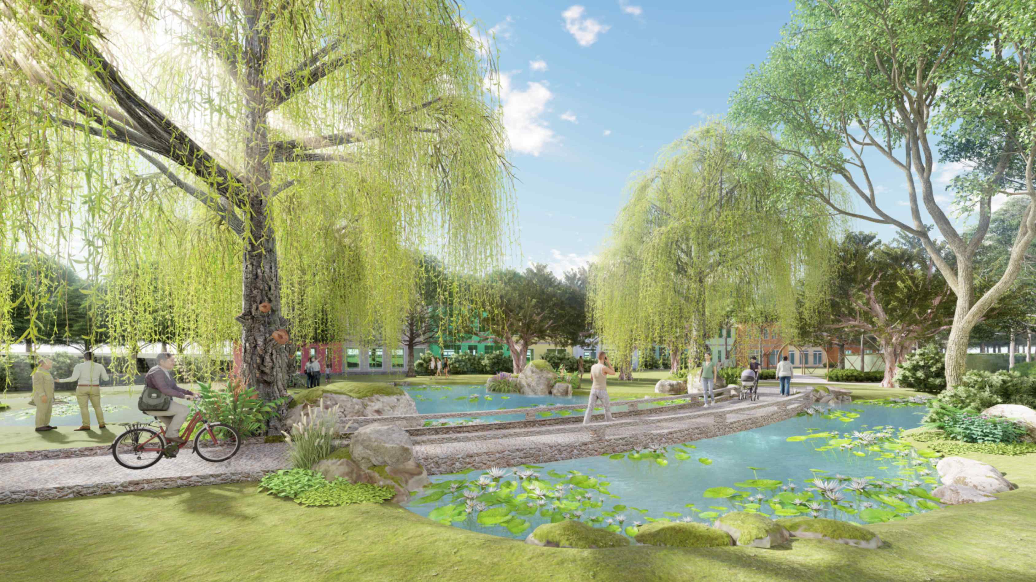 jpeg-optimizer_image_123650291 (10).JPG