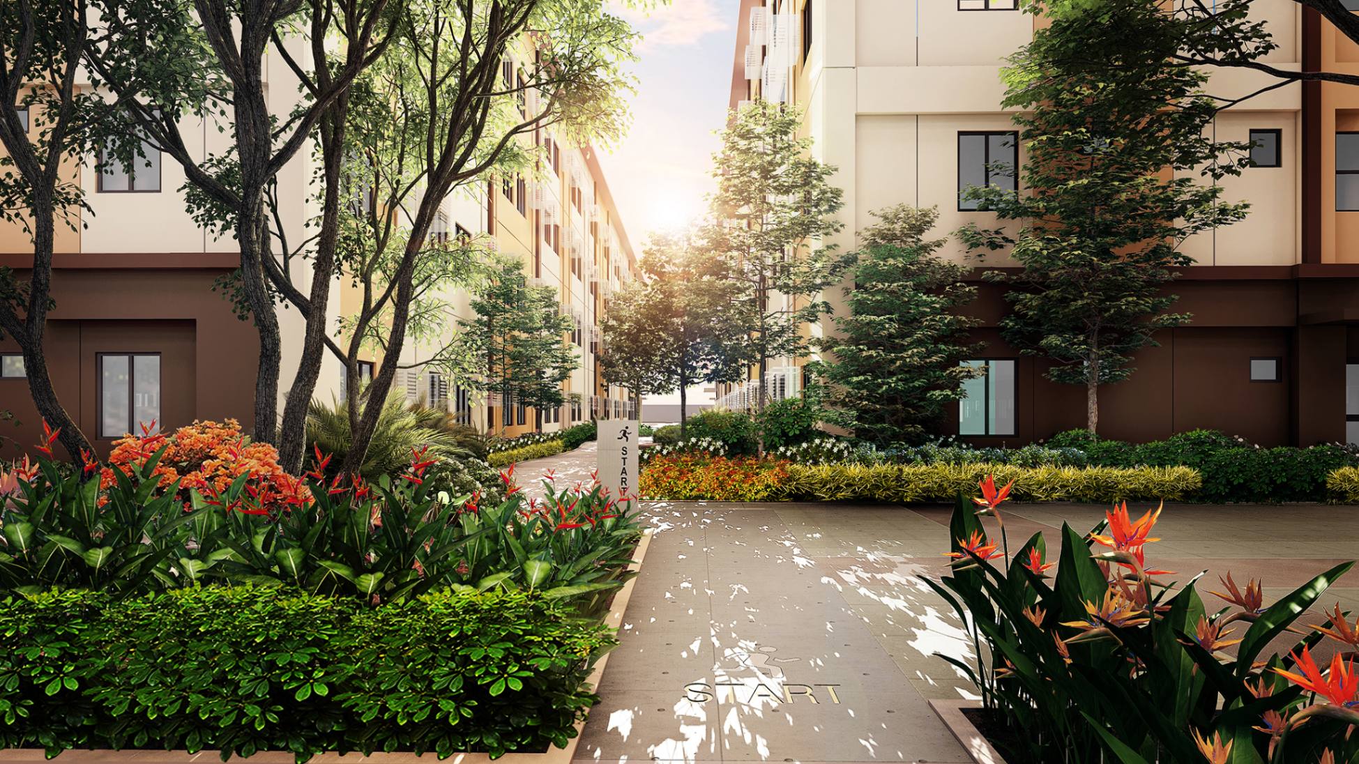 jpeg-optimizer_turf 2.jpg