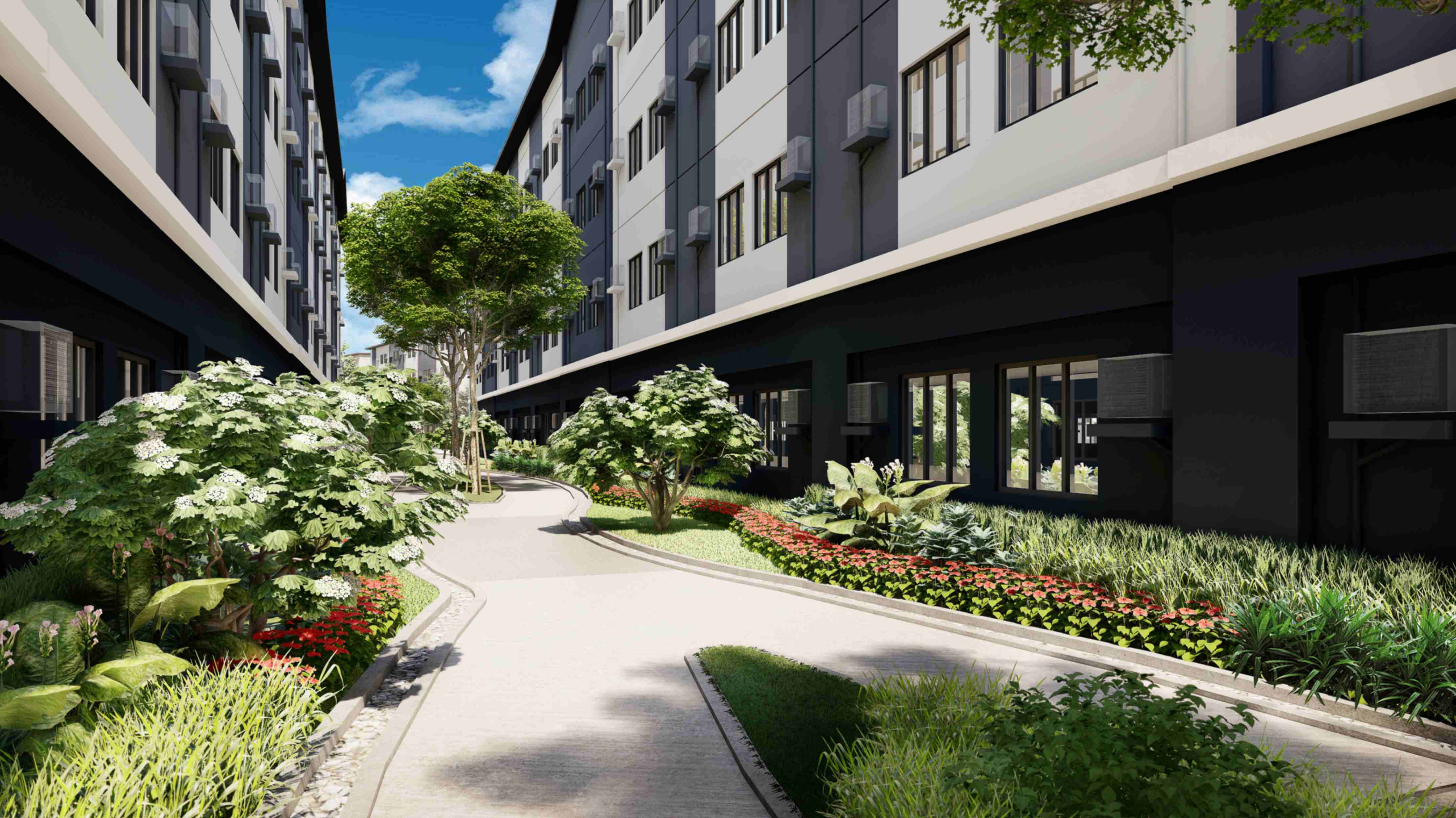 jpeg-optimizer_zeal 2.jpg