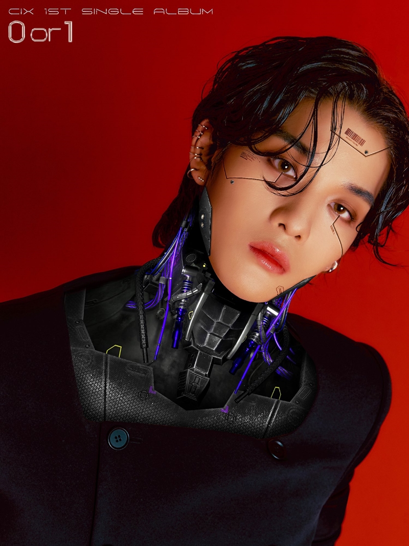 BAEJINYOUNG, Individual Concept Photo A.jpeg