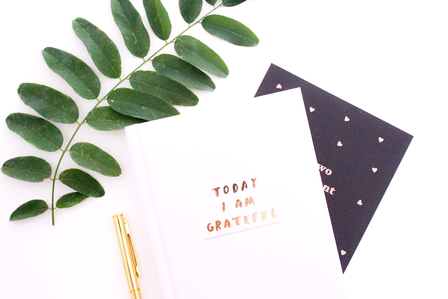 Be grateful for what you have now.jpg