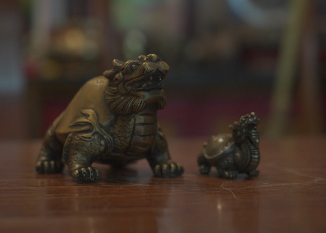 Brass Dragon Head Tortoise.png