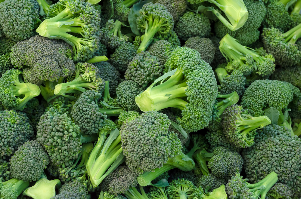 Broccoli.jpg