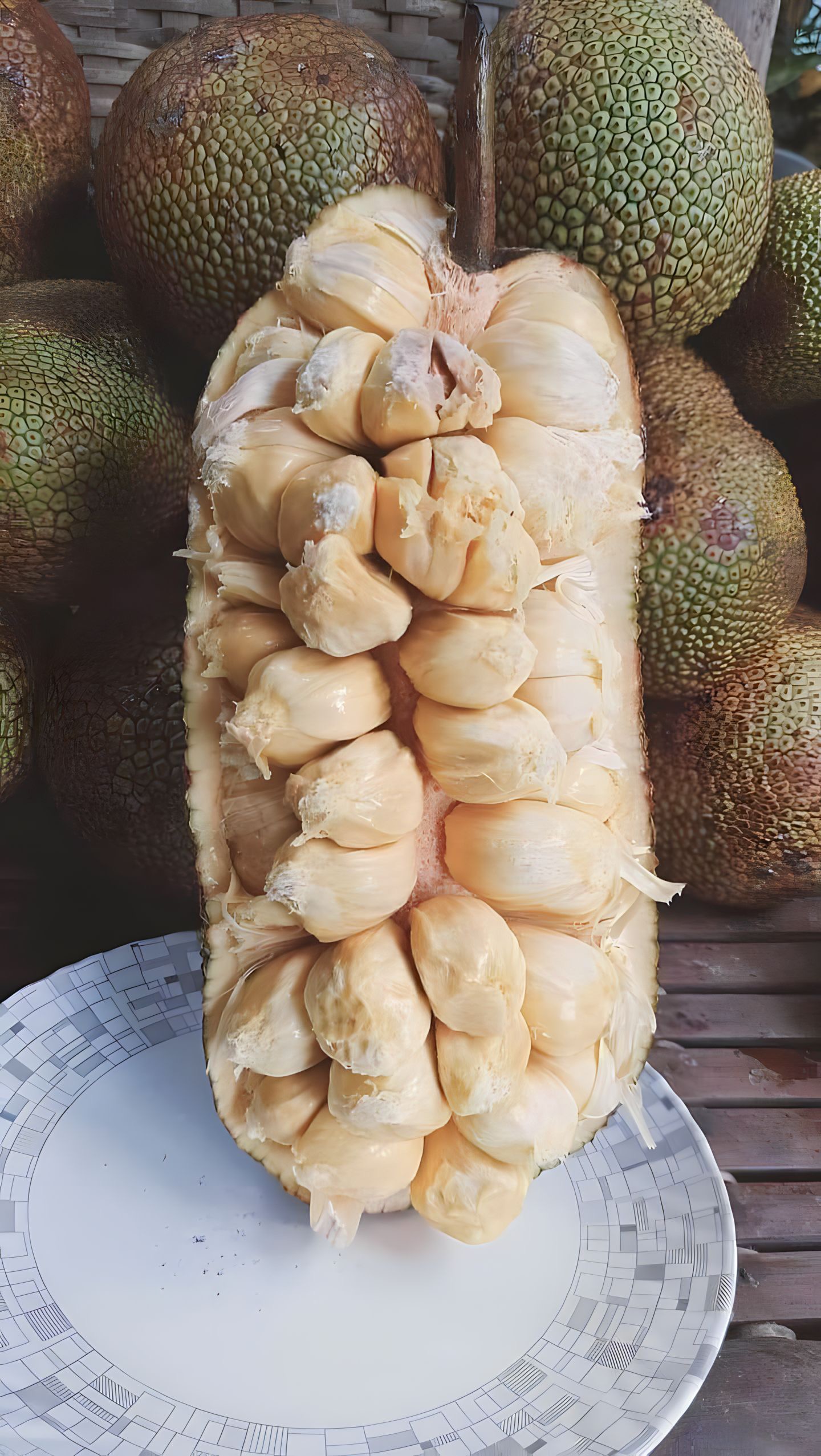 Cempedak fruit.JPG