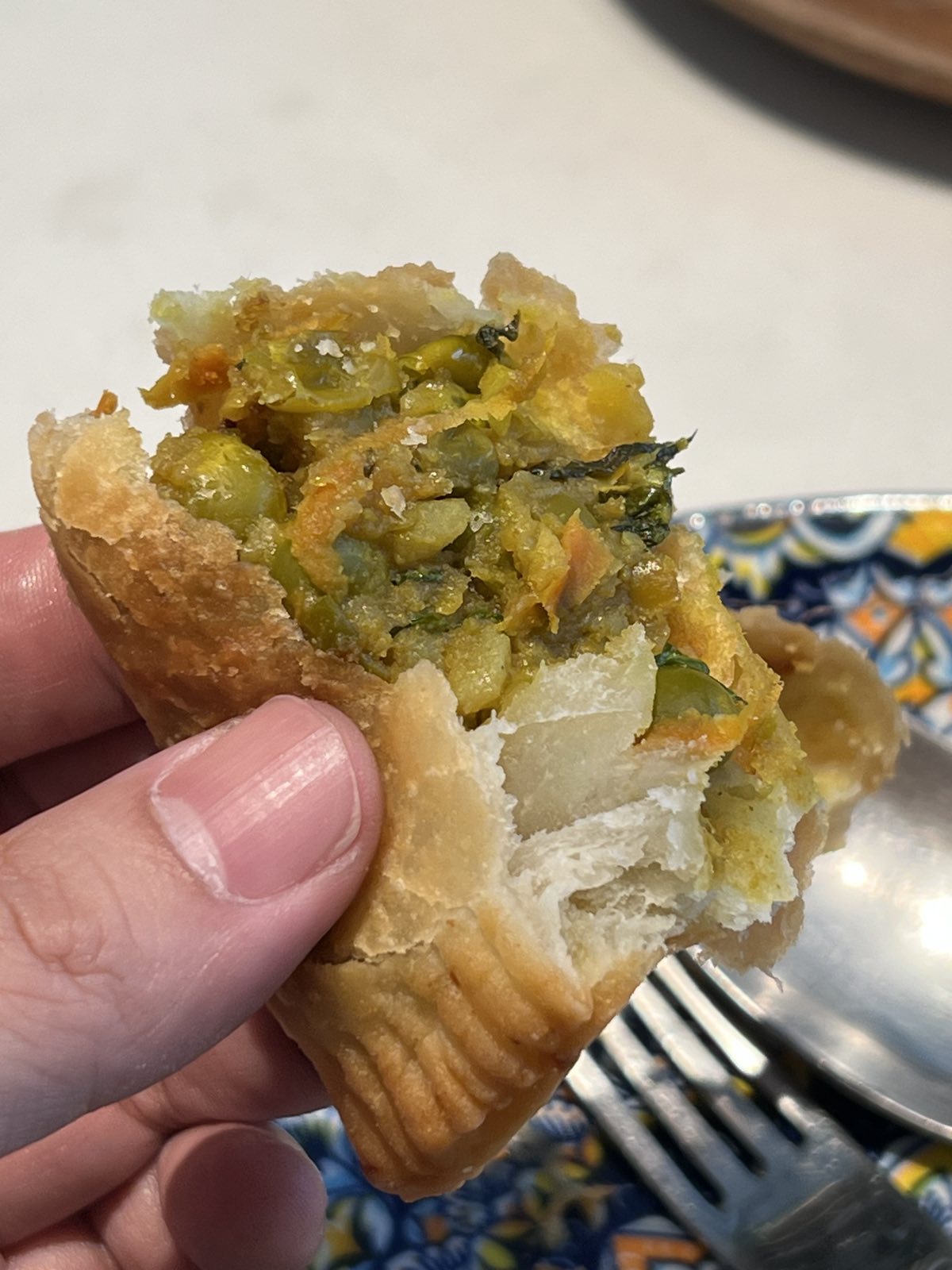 Chicken Samosa 2.jpg