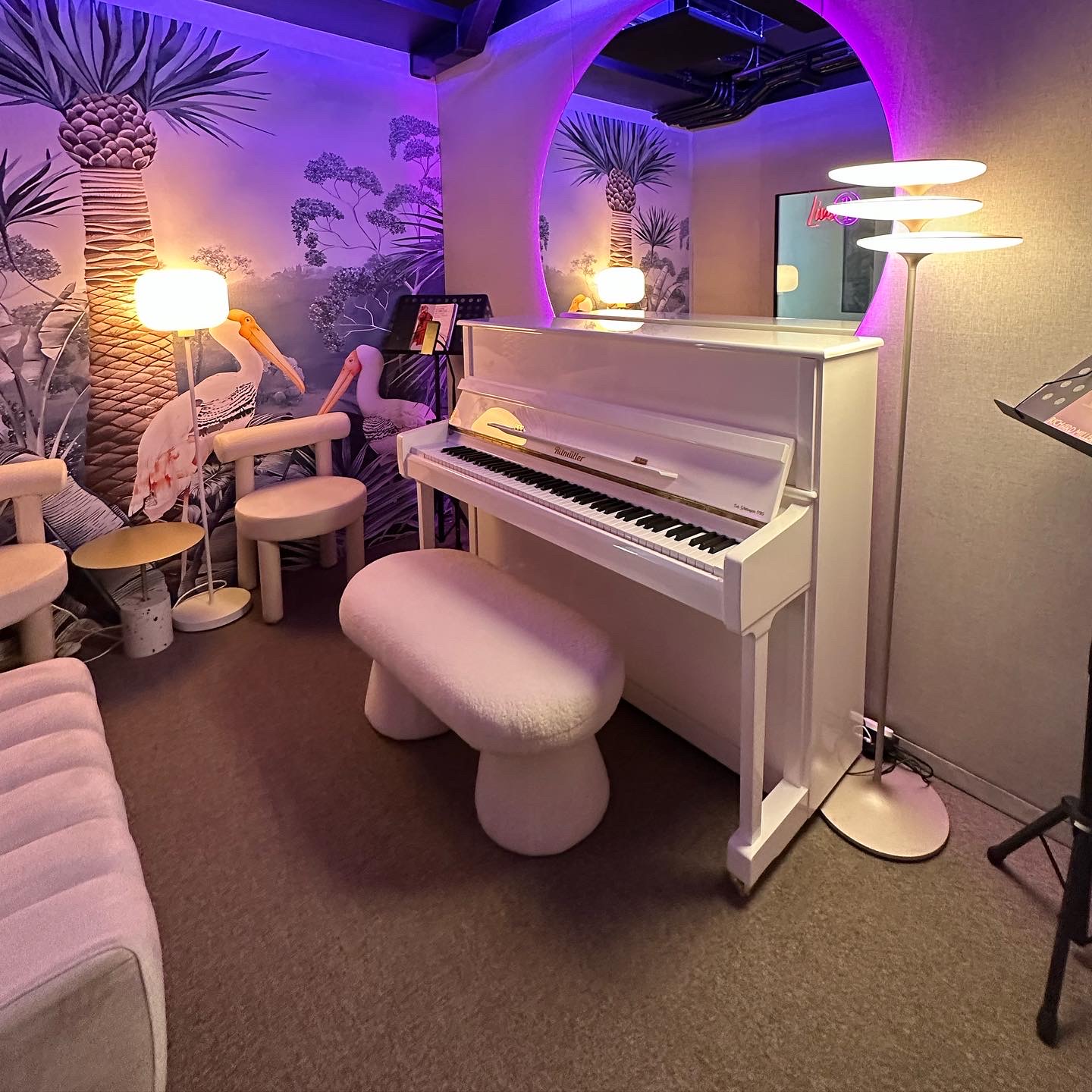 Cozy room for music and voice lessons.jpeg