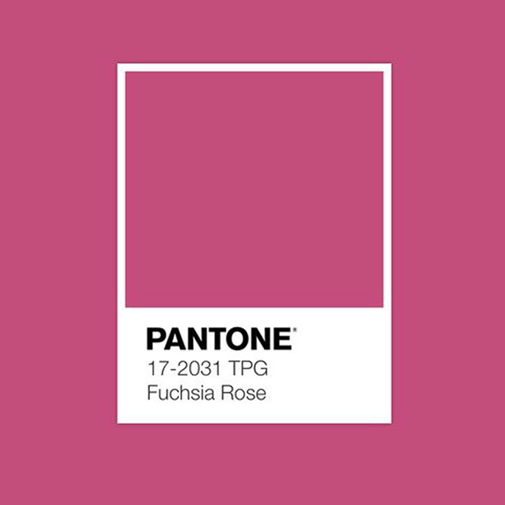 FUCHSIA ROSE 2001 body image.jpg