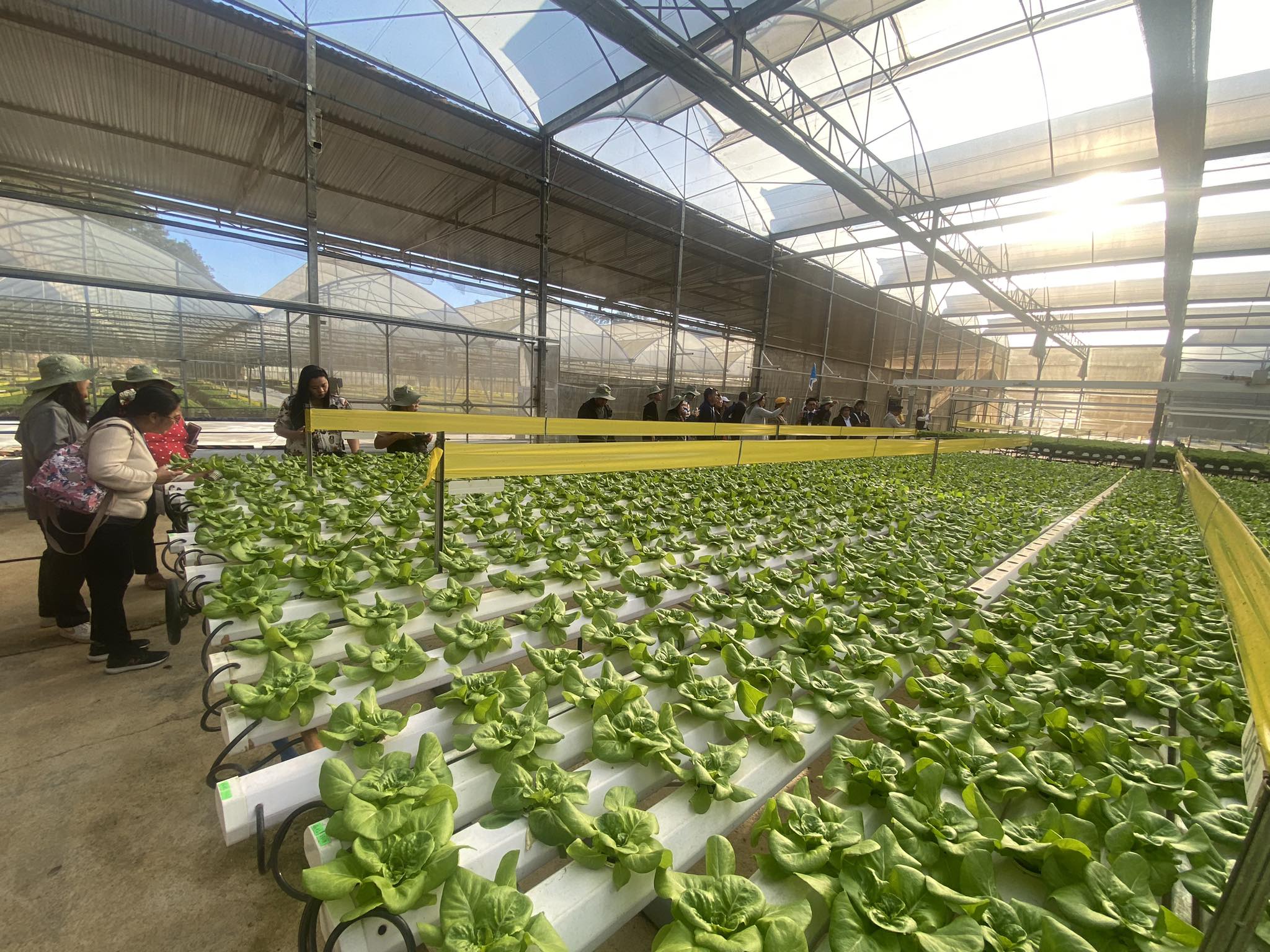 FUTURISTIC FARM 1.jpg