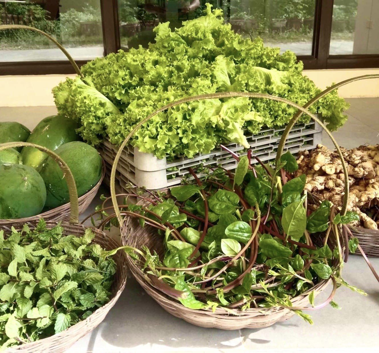 Giving Garden - Pico.jpg