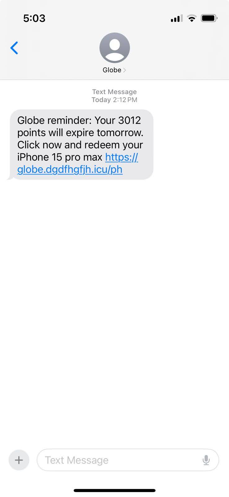 Globe Spoofed SMS.jpeg