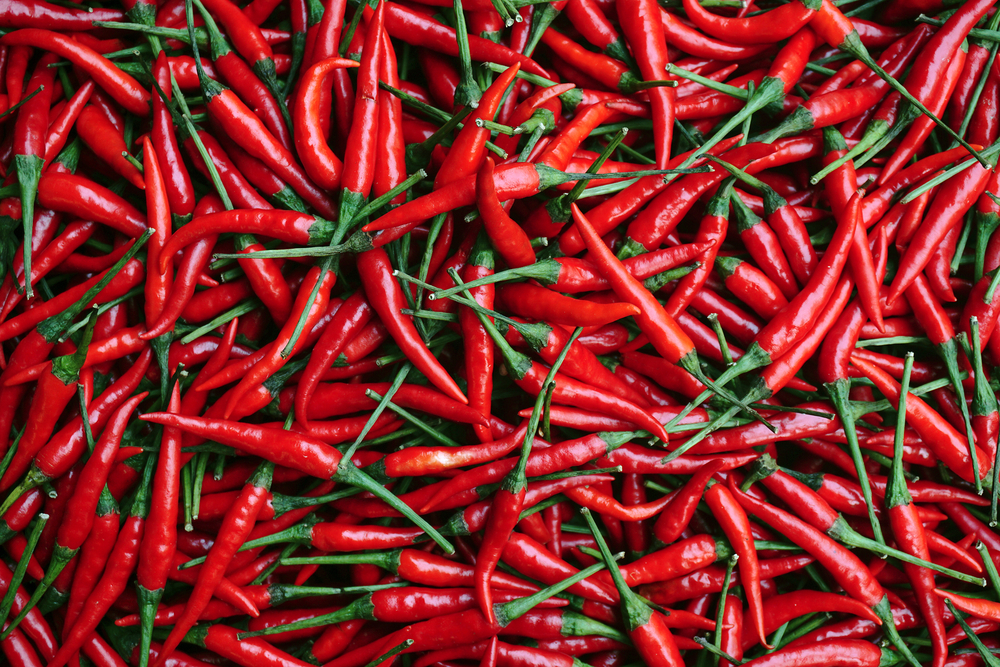 Hot pepper.jpg