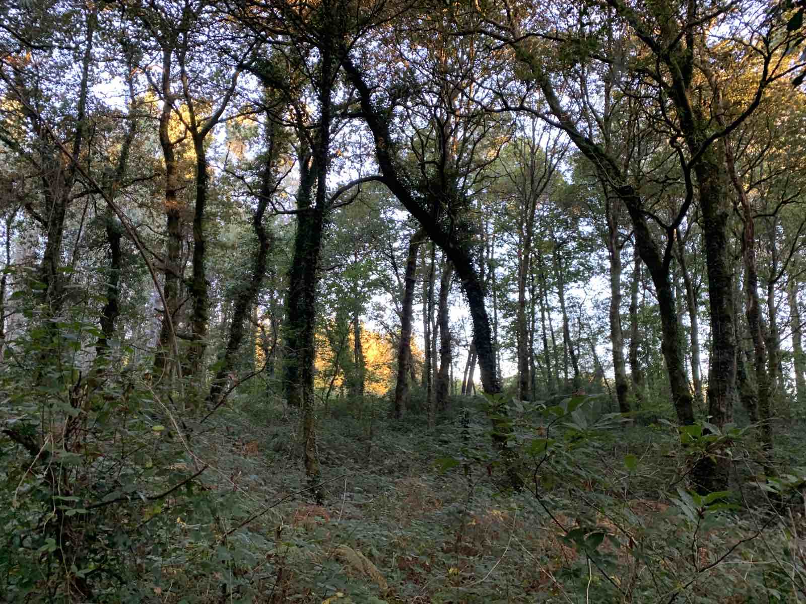 IMG-9abd89c07bf08f125ef13cd057098b3d-V (2).jpg