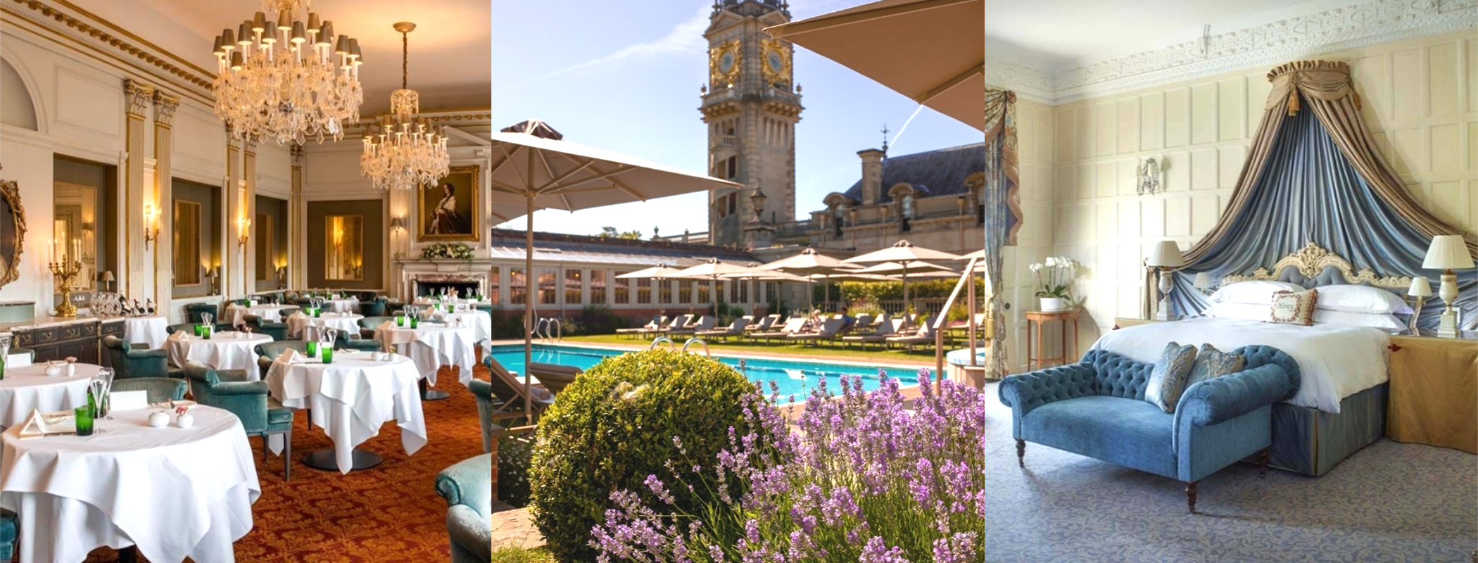 LOVE AND MONTY body image 1.jpg