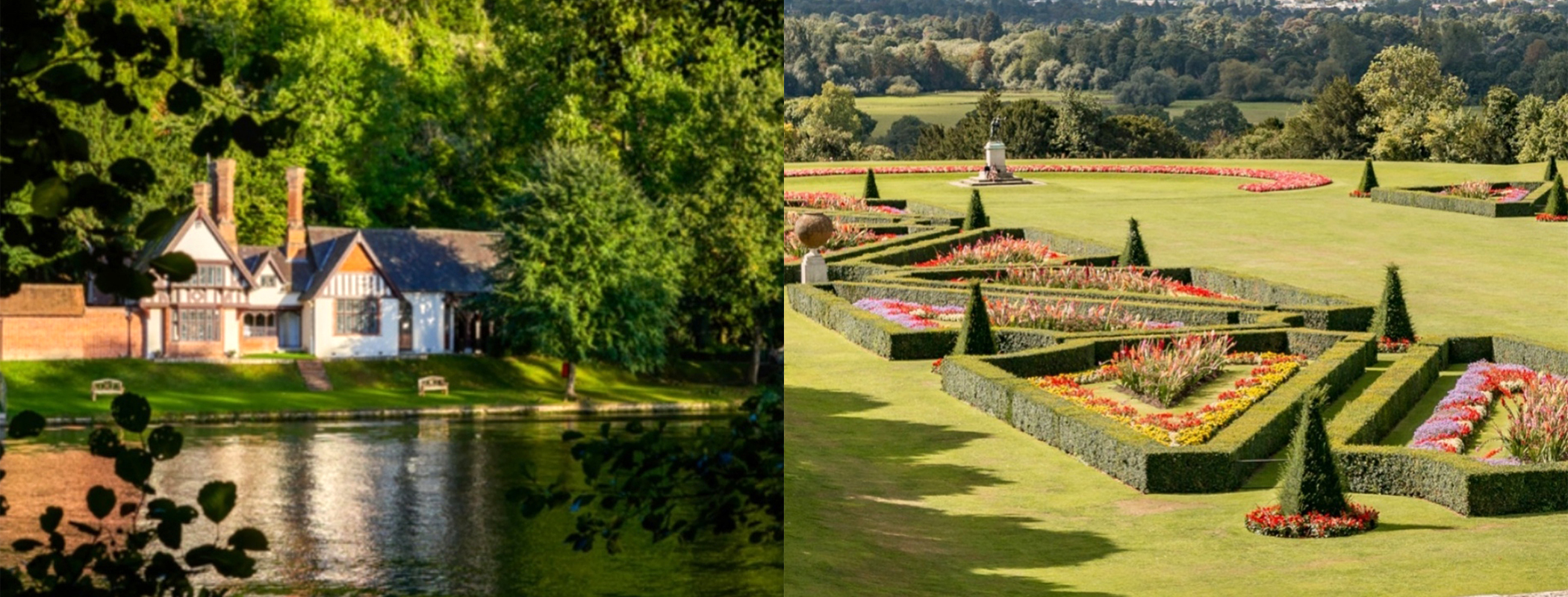 LOVE AND MONTY body image 2.jpg