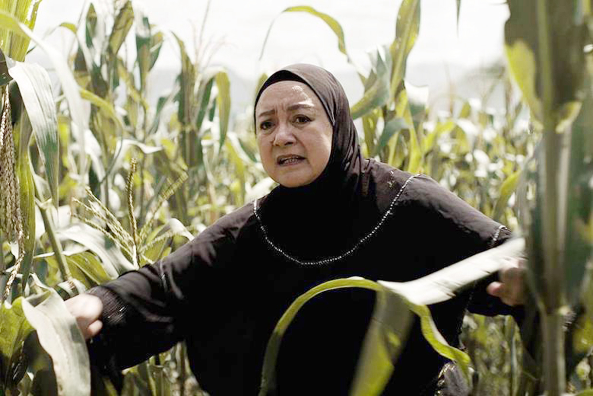 Laurice Guillen in Moro.jpeg