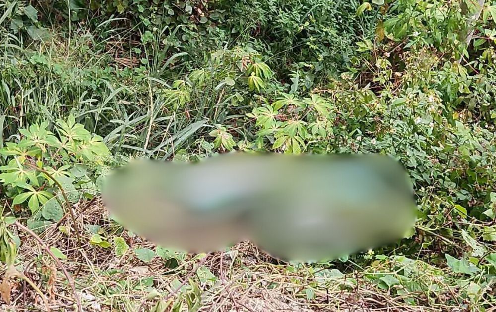 Manila Bulletin (44).jpg