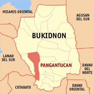 PANGANTUCAN BUKIDNON.png