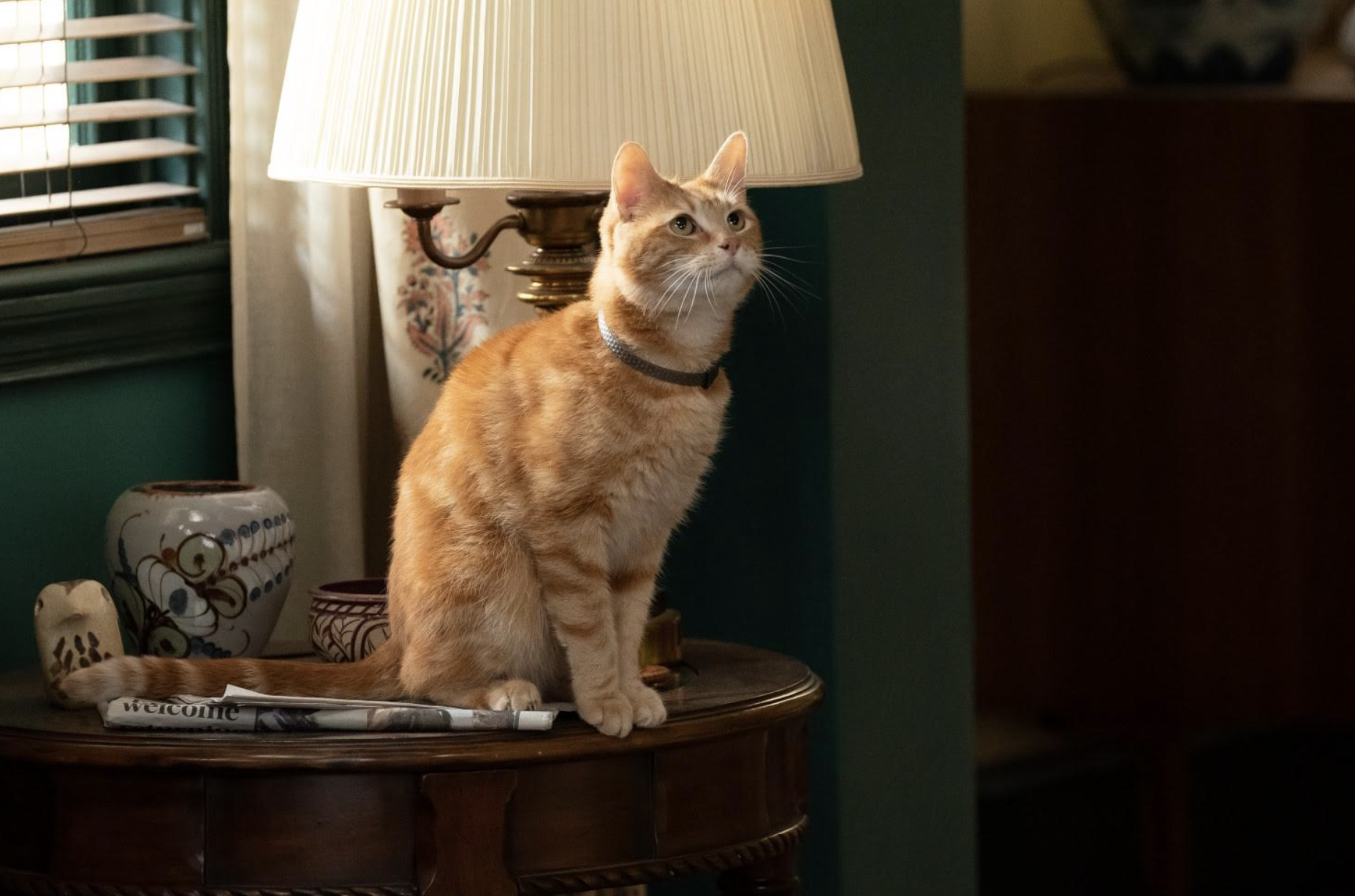 Screenshot 2023-11-08 at 2.13.15 PM.png