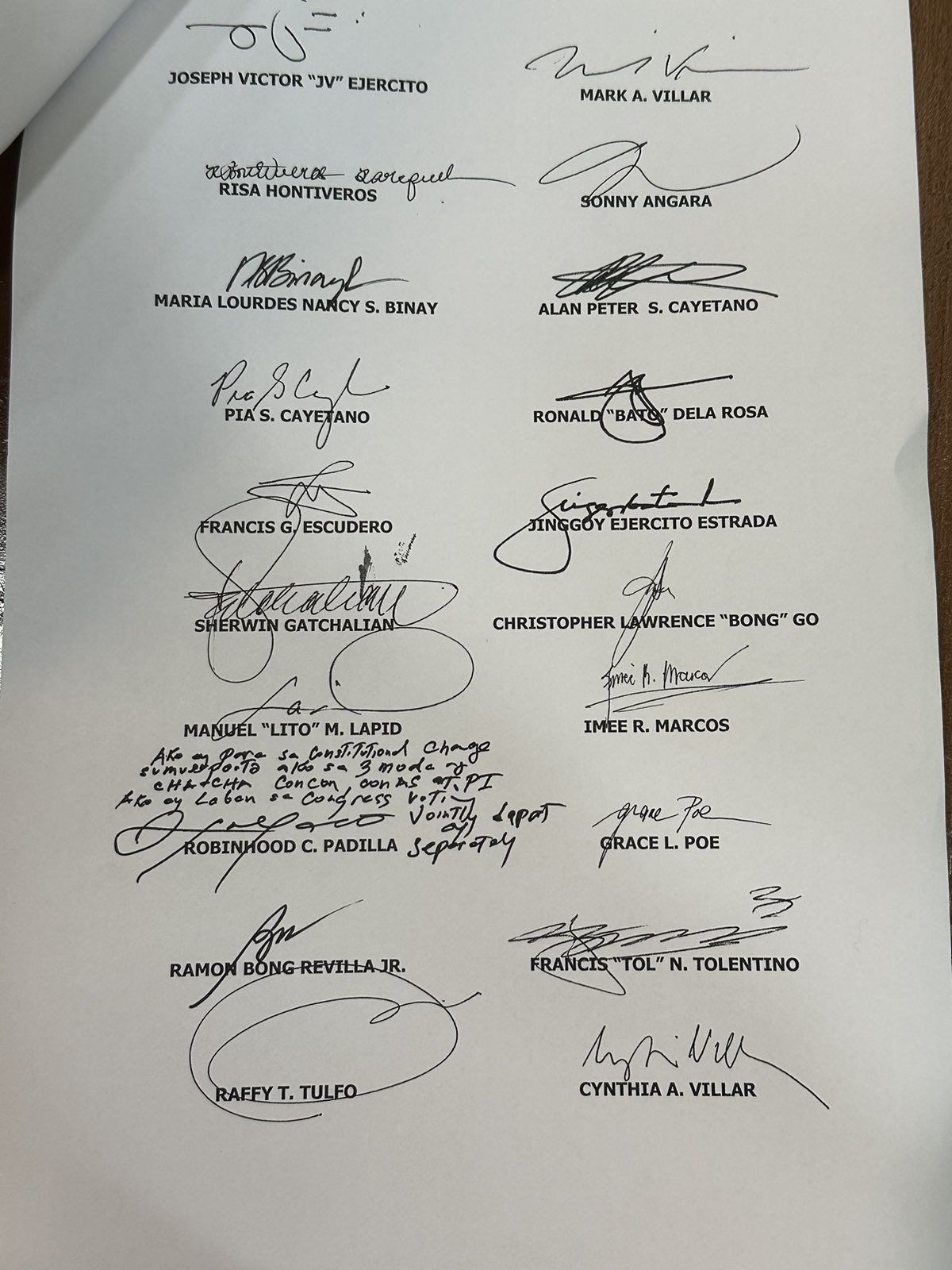 Senate manifesto 2.jpg