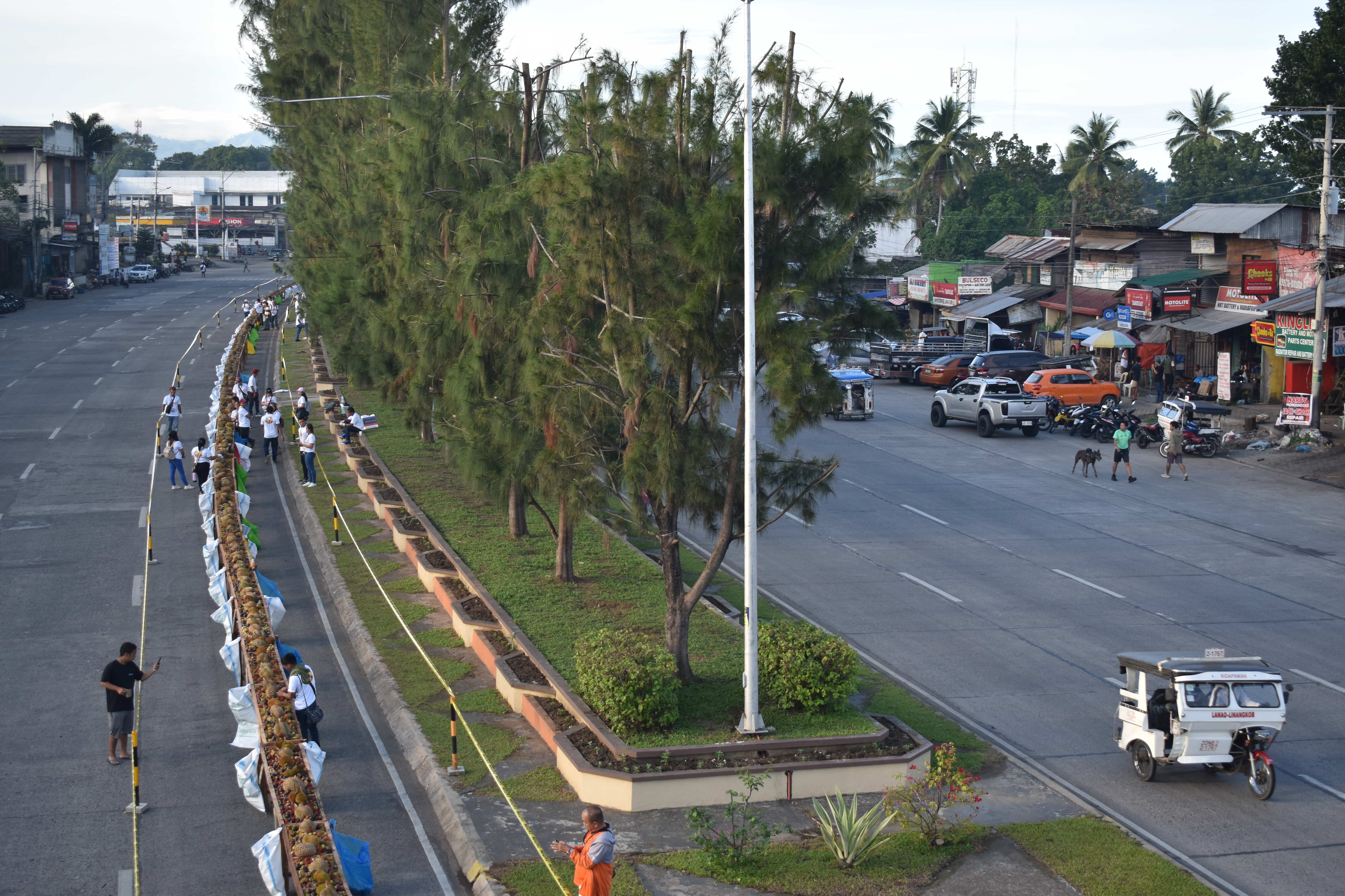 TIMPUPO C (2) (1).jpg