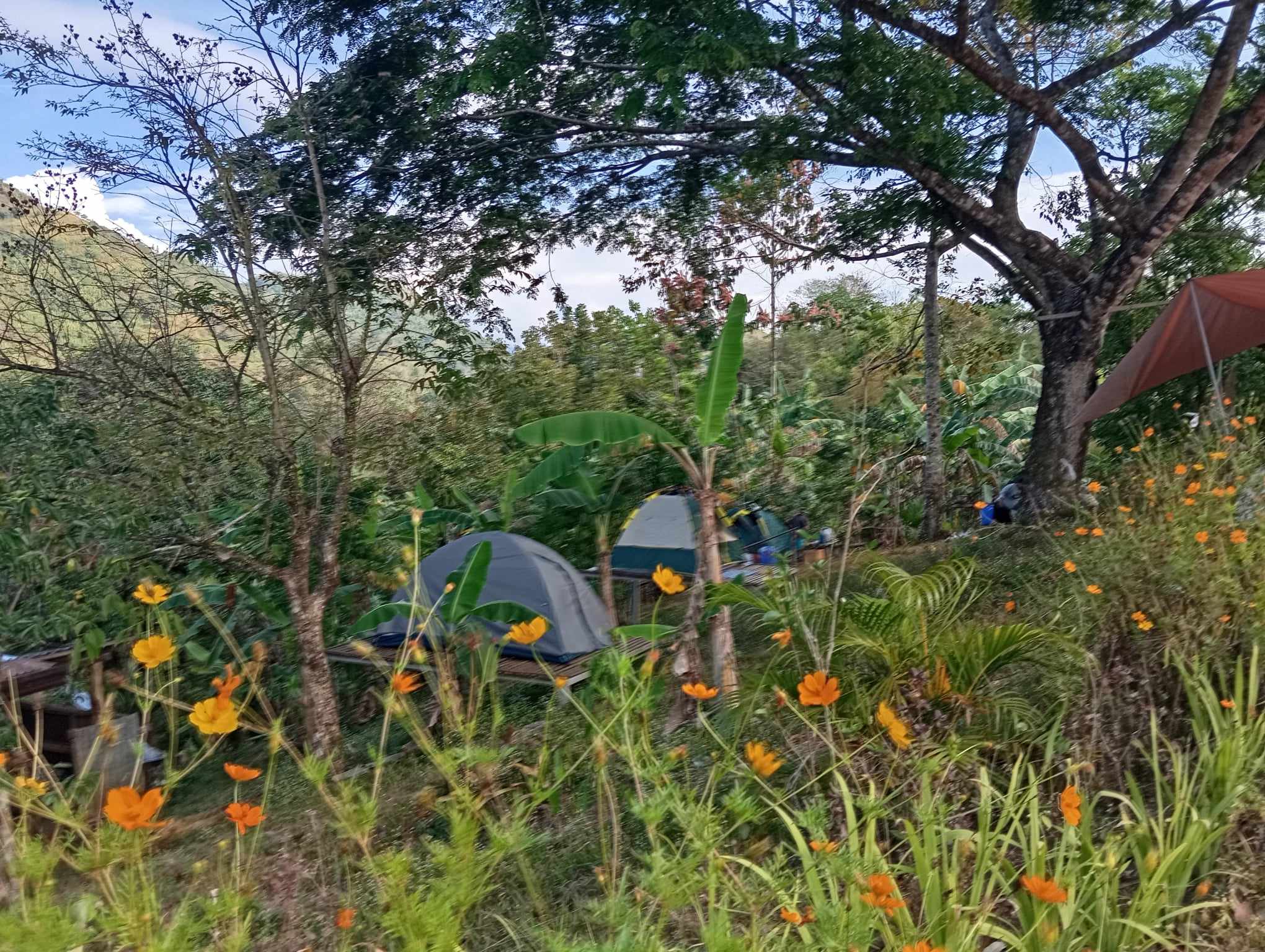 Tanay nature garden1.jpg