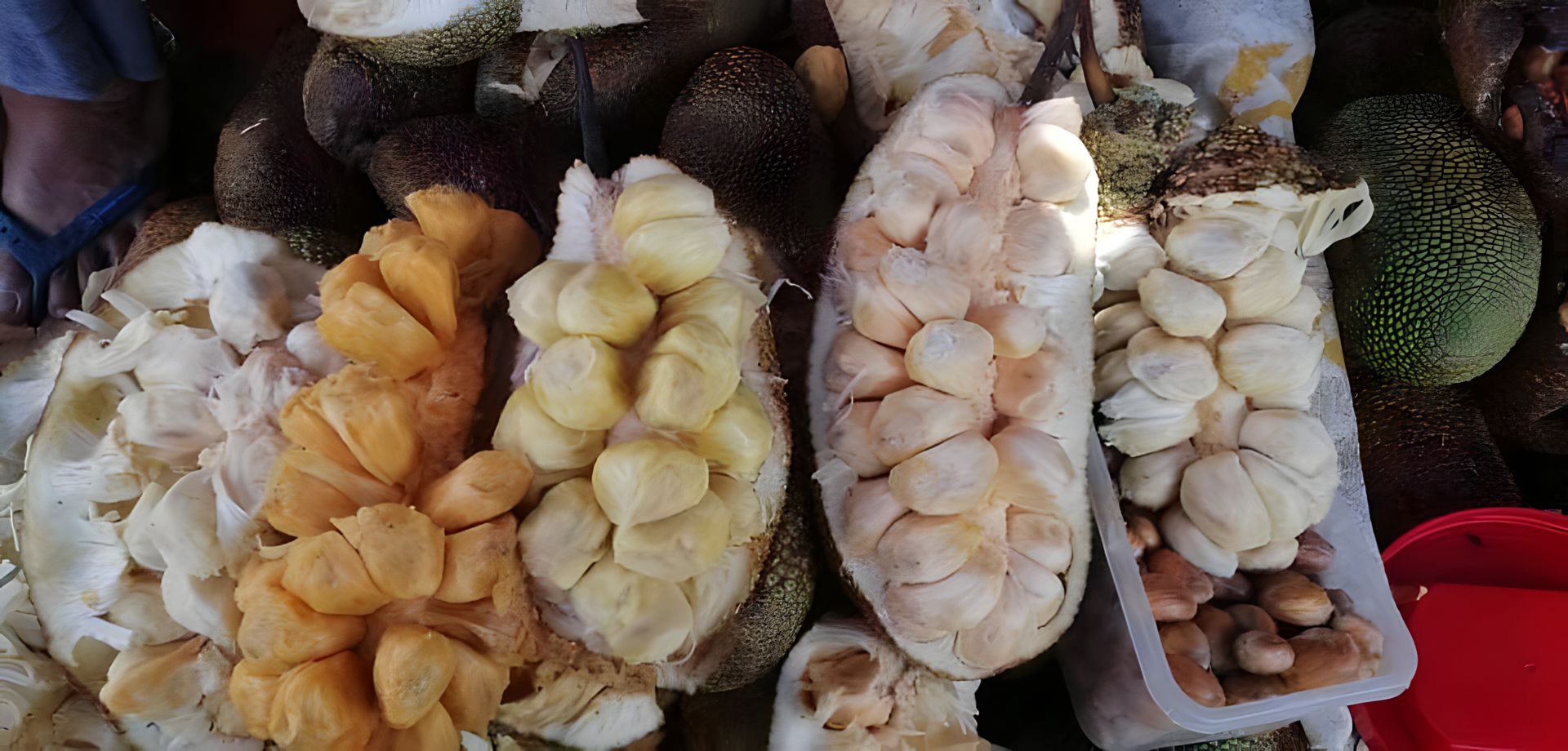 The color of Cempedak fruit varies depending on its maturity.JPG