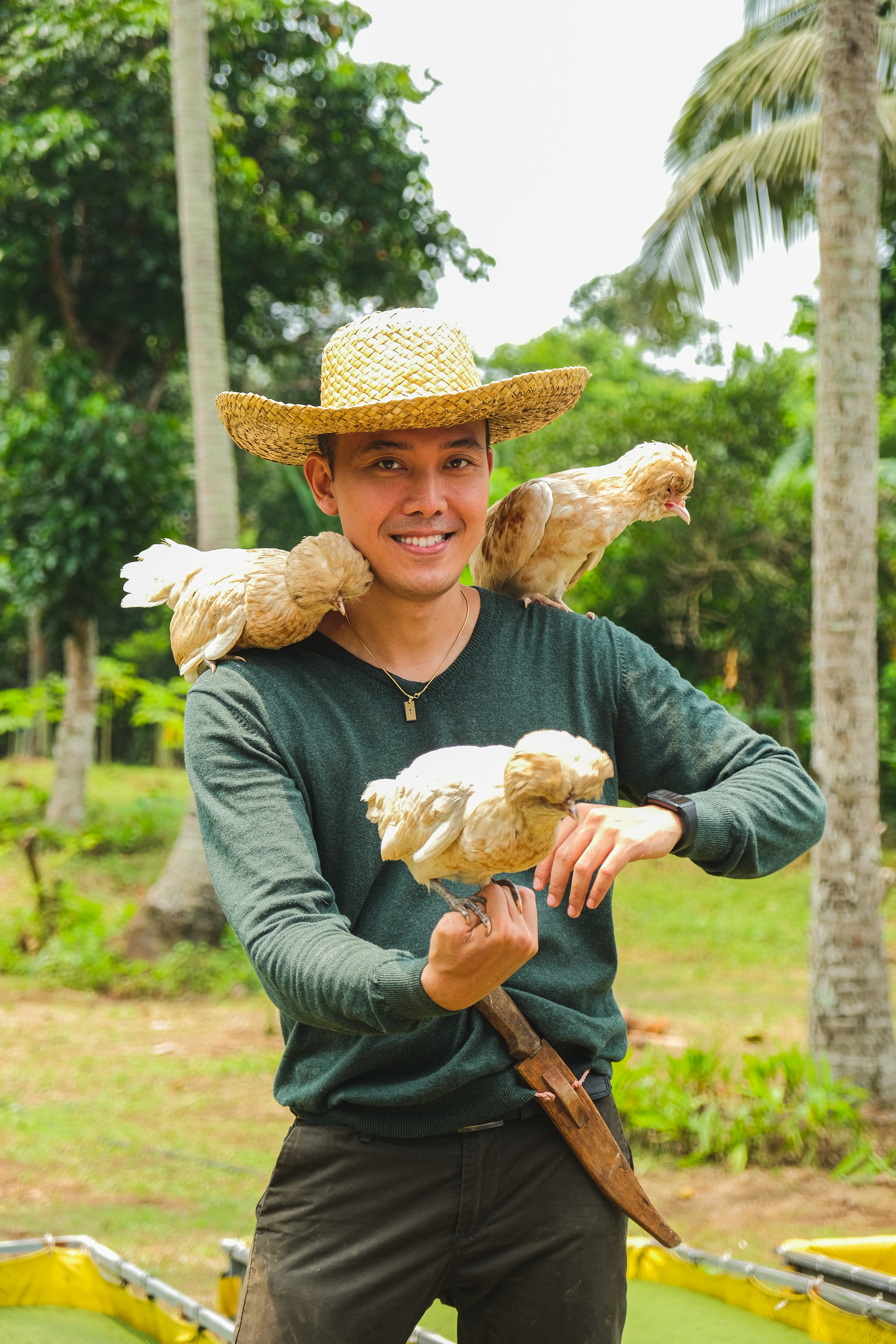 With chickens