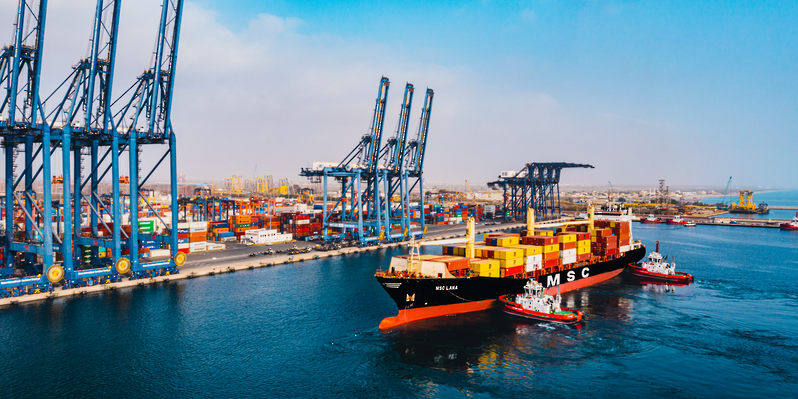 الصورة رقم 21.png