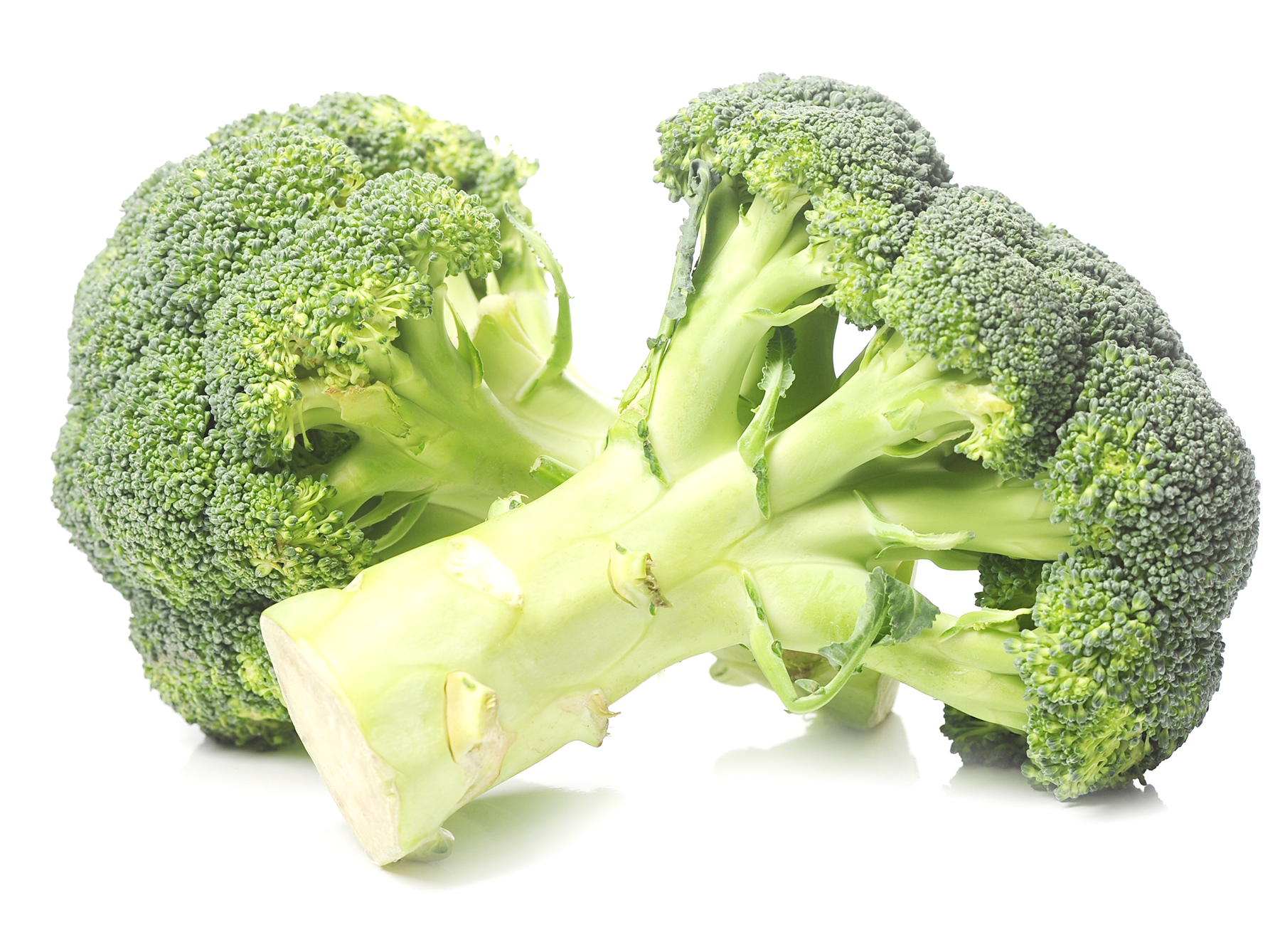 fresh-broccoli-isolated.jpg