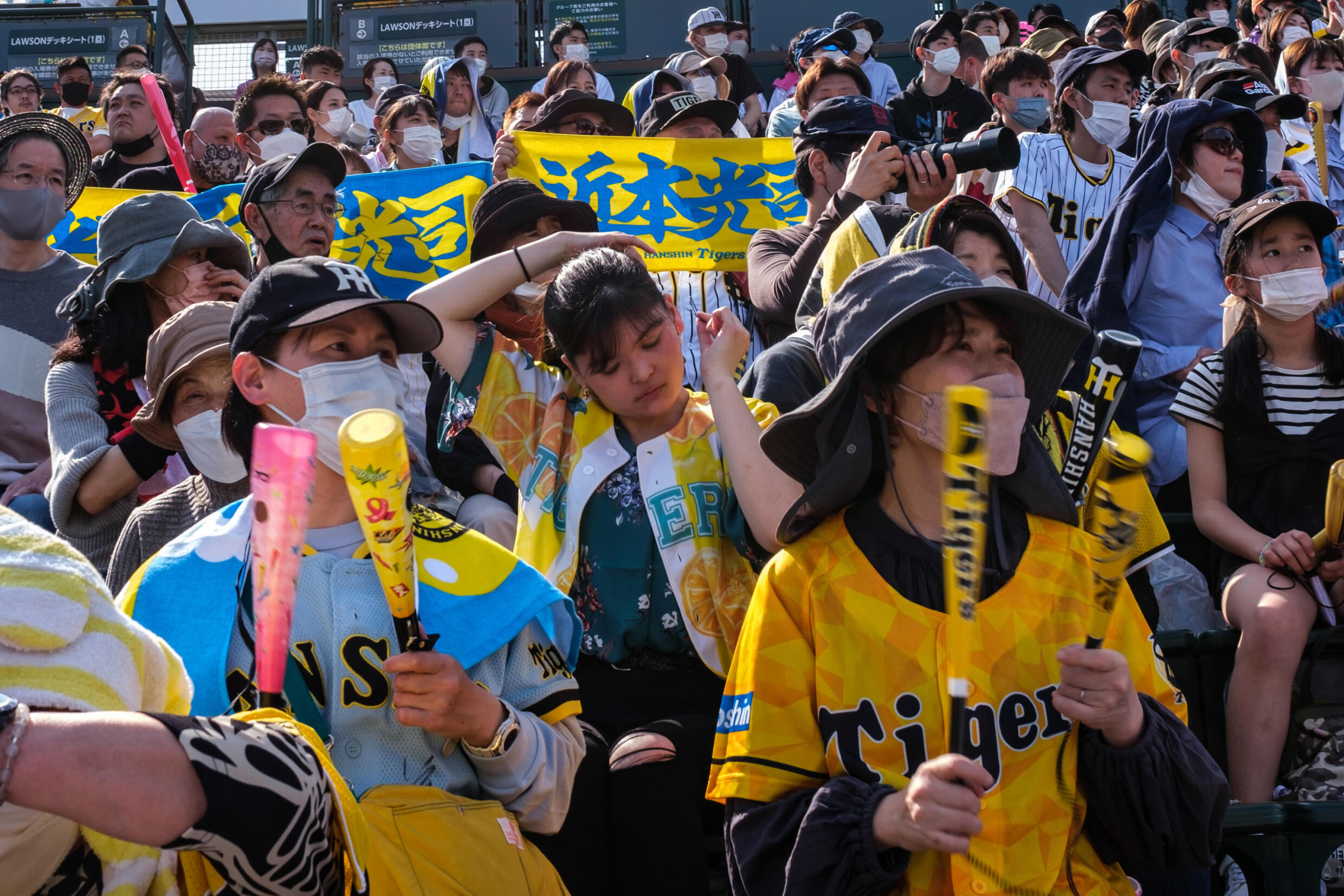 hanshin tigers fans.jpg