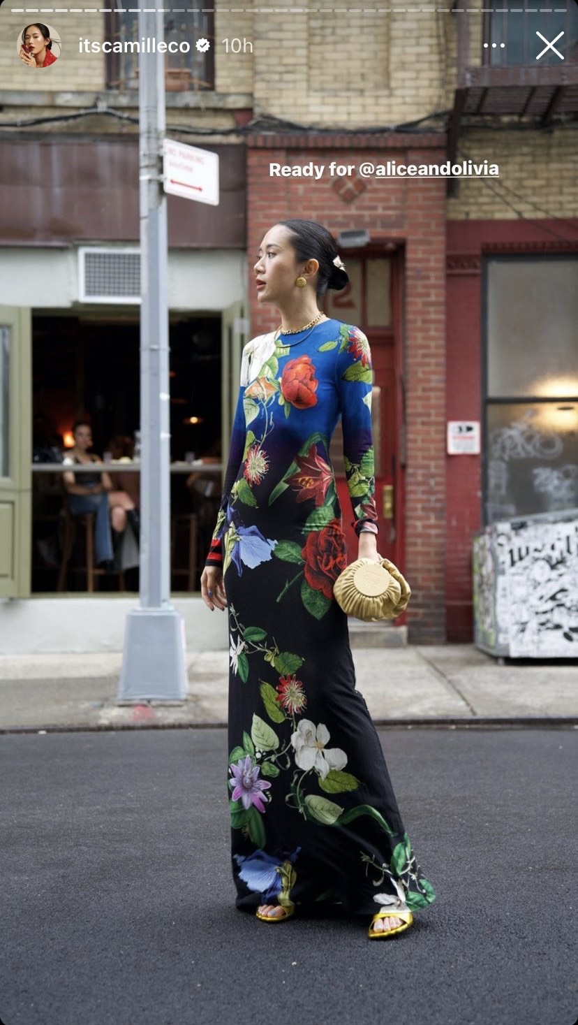 image_6487327 (3).JPG