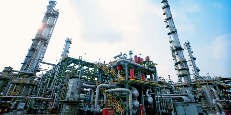 jgsoc plant 01.jpg