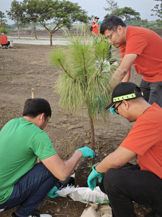tree planting.jpg