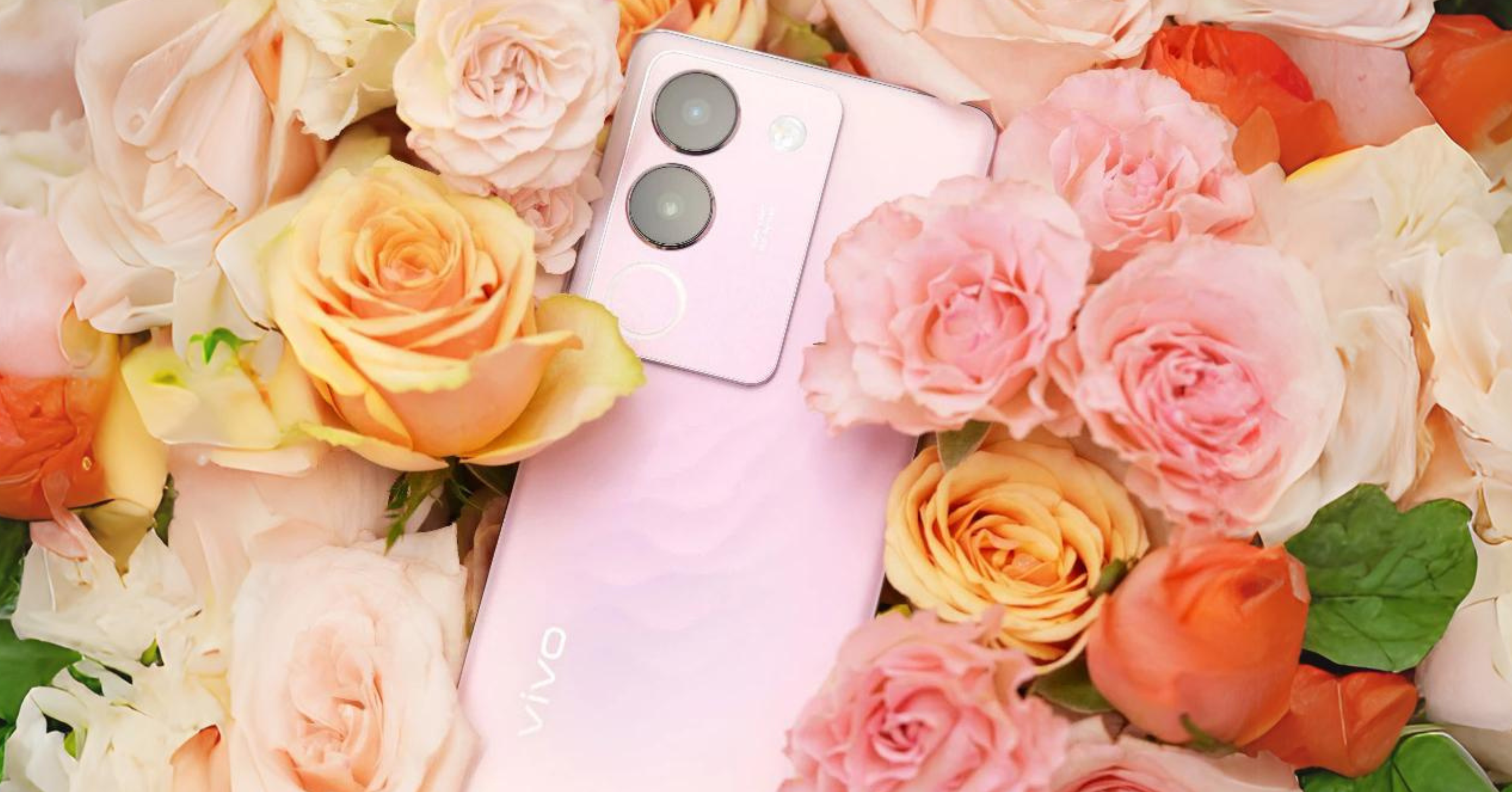 vivo V29 5G Rose Pink (2).png