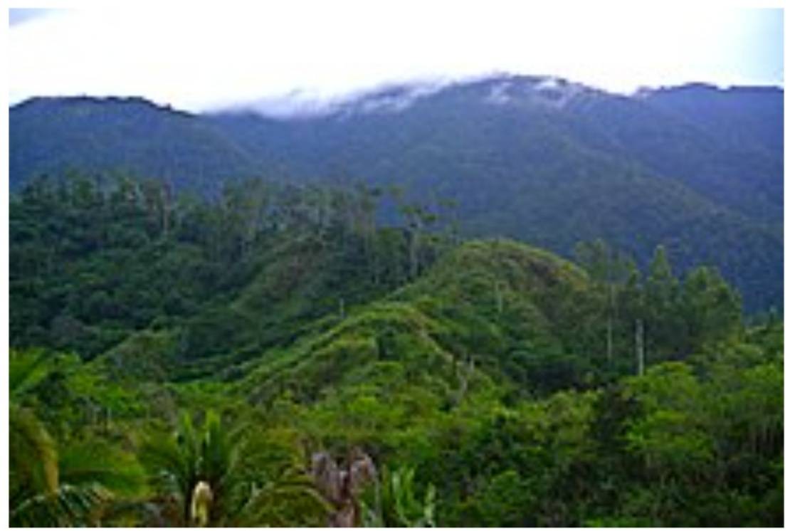 House probe on degradation of 'Luzon protector' Sierra Madre mountains pushed