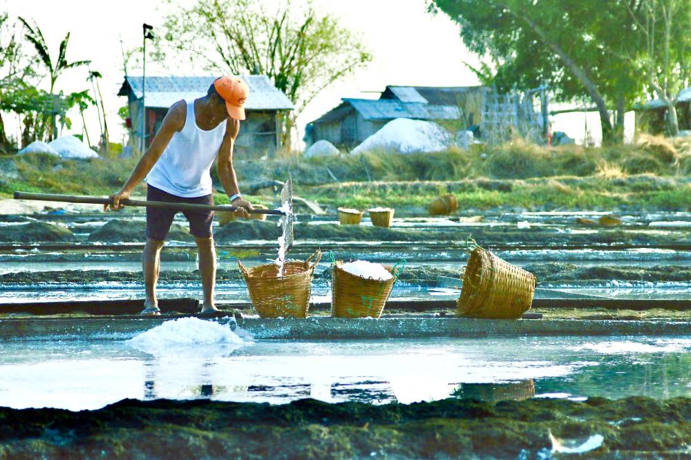 House eyes revival of PH salt industry