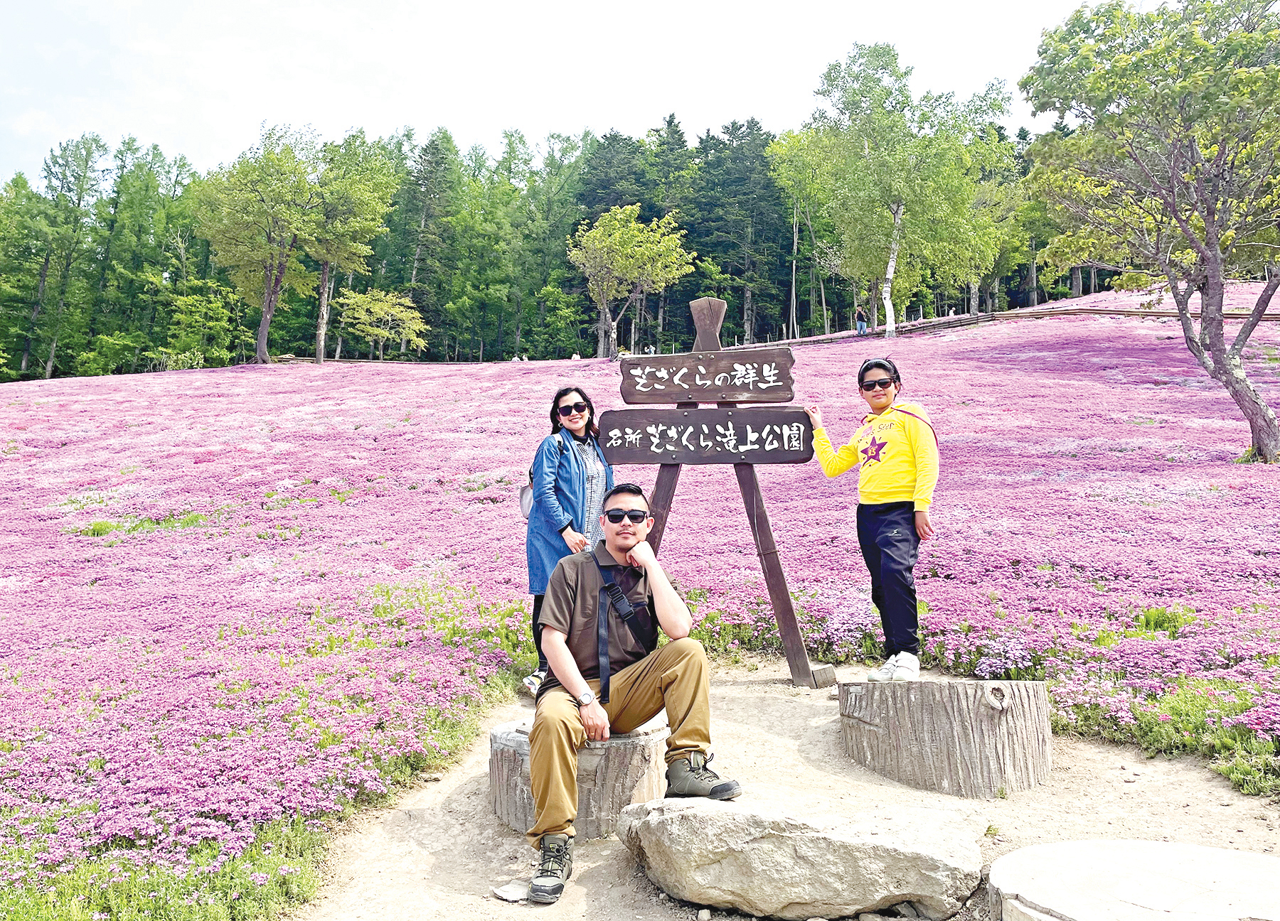 Takinoue Shibazakura Festival.jpg