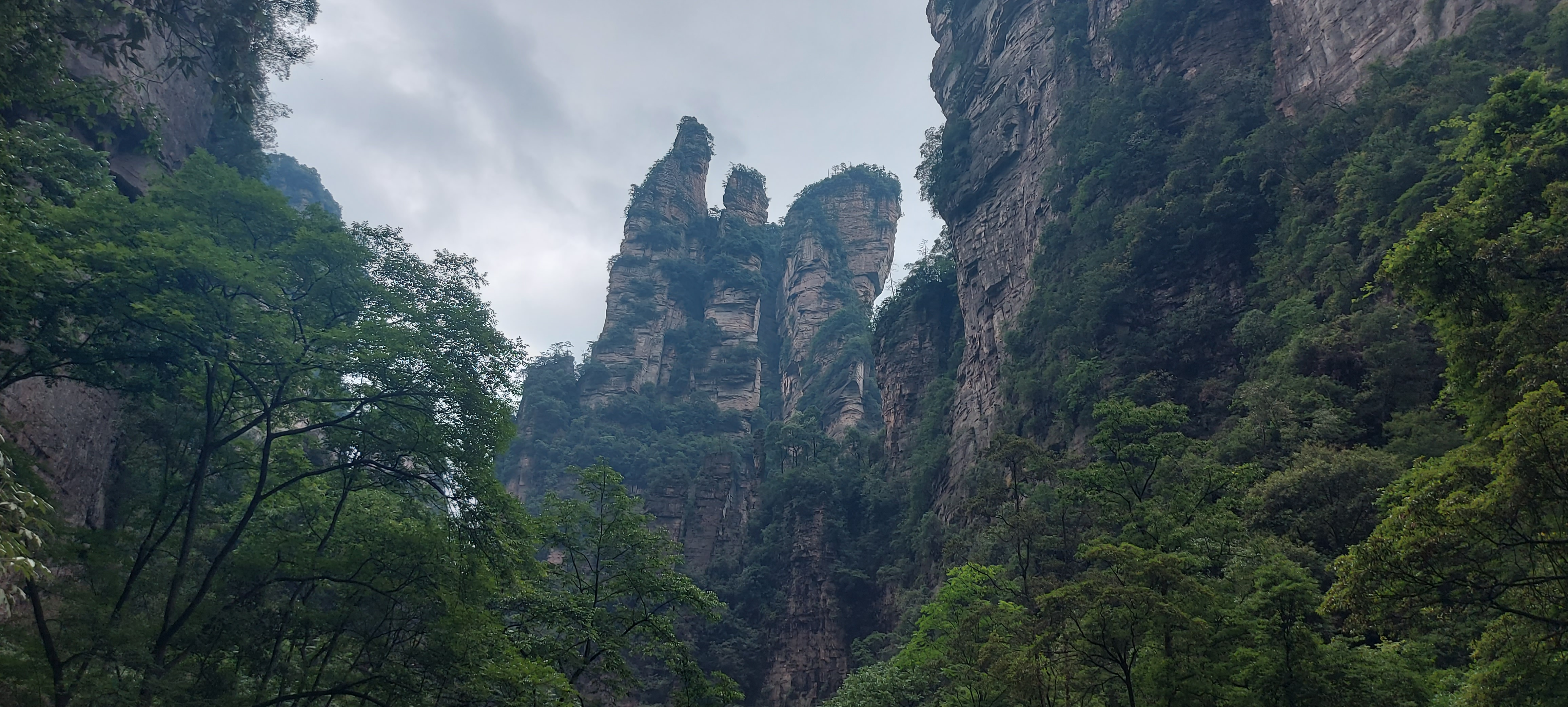 Yuanjiajie Scenic Area.jpg