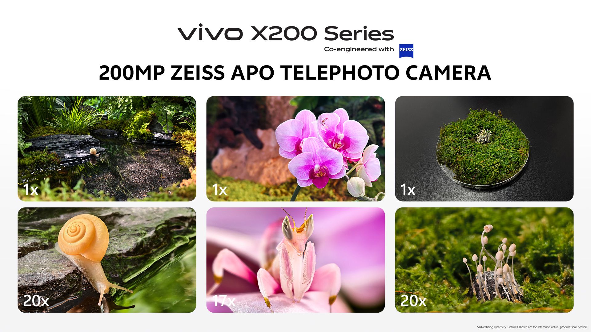 vivo X200 Series Sample Photo (23).jpg